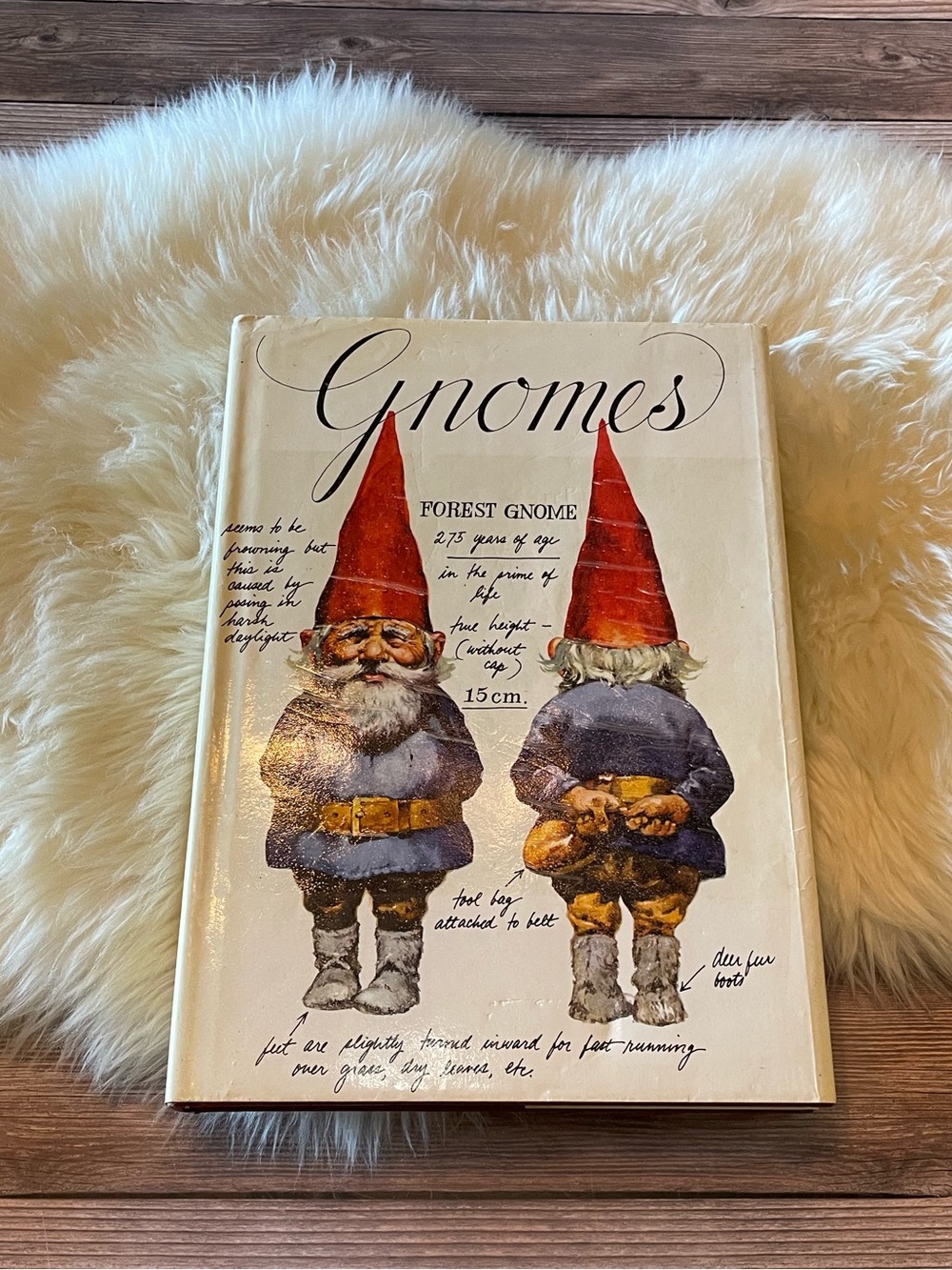Vintage 1977 Gnomes by Wil Huygen